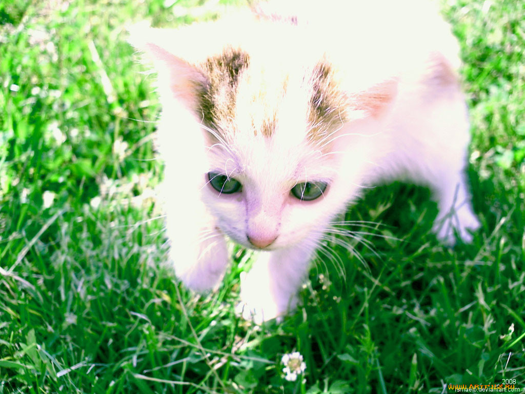 dot, by, ismaelb, , 